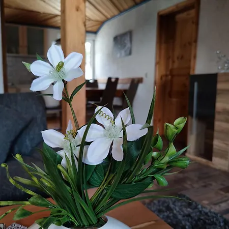 Sonnenschein Mit Balkon & Meinecardplus Apartament